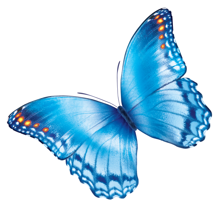 2026 Quality Tool School - Class 1: Project Tools - 4/1/2026 (ED025B) Banner