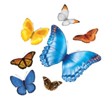 2026 Quality Tool School - Class 3: How to Get QI Data - 4/15/2026 (ED025B) Banner